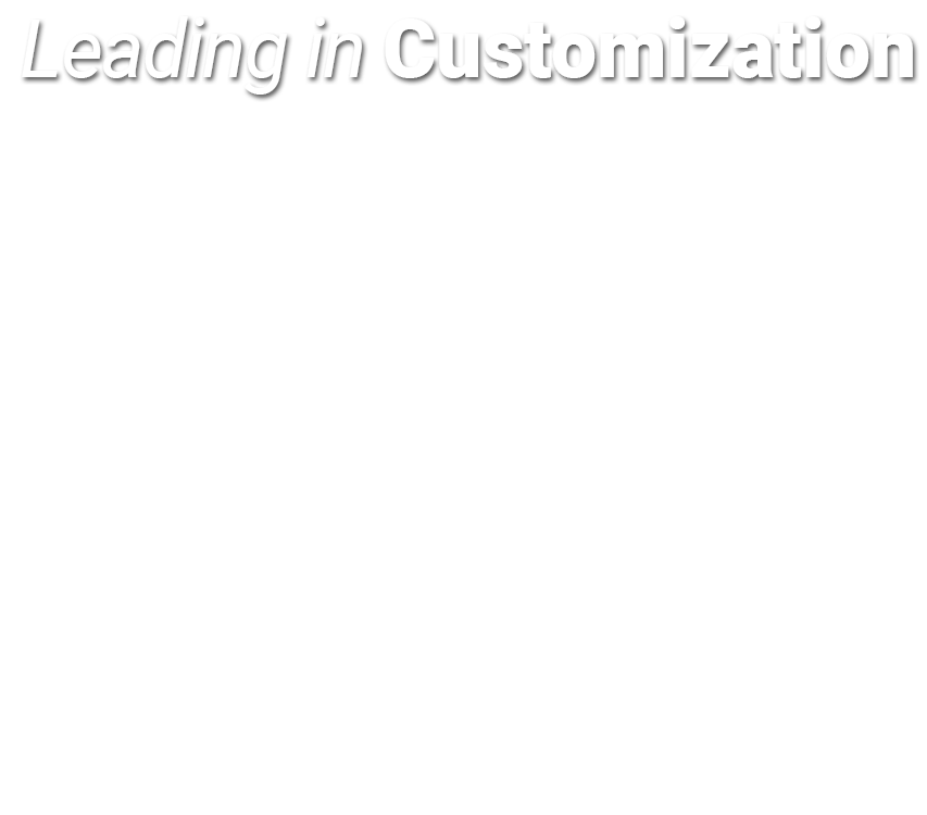Leading in Customization
